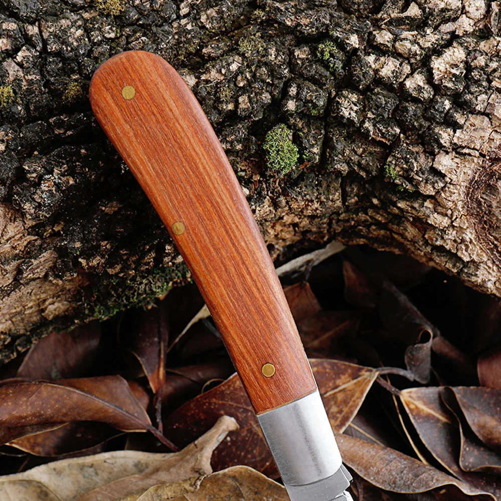 Sklopivi Nož Za Cijepljenje Gljiva Od Nehrđajućeg Čelika EDC Vrt Naprava Drvena Ručka Opstanak Kamp Džepni Nož Električar Slika 1