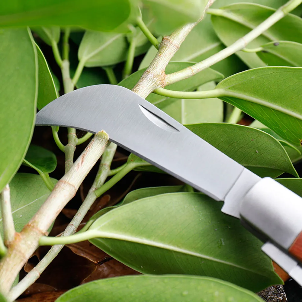 Sklopivi Nož Za Cijepljenje Gljiva Od Nehrđajućeg Čelika EDC Vrt Naprava Drvena Ručka Opstanak Kamp Džepni Nož Električar Slika 2