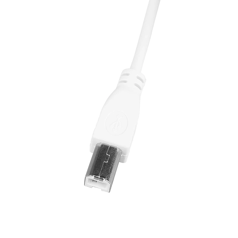 Lightning kabel-USB-B-Type-C, USB-ac adapter Type-C Za pisače, MIDI kabel za pretvarač tipkovnice, 1 m Slika 3