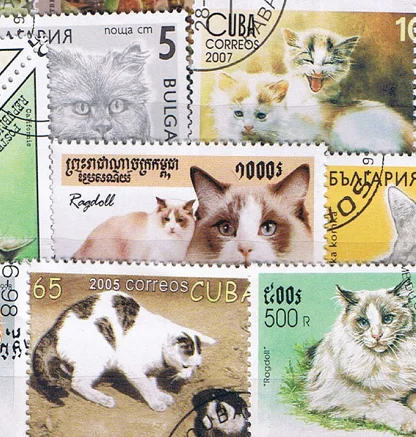 50 kom./pak. Mačka se razlikuje od mnogih zemalja, nema Ponavljanja Neiskorištenih poštanskih maraka za kolekcionarstvo Slika 0